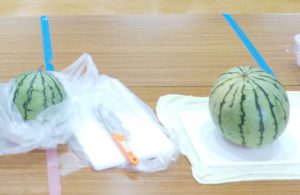 スイカ割りの前に・・・　～風の子キッズ～