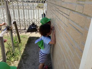 「かくれんぼ👀✨️」2歳児 ちゅうりっぷ組 ひよこグループ
