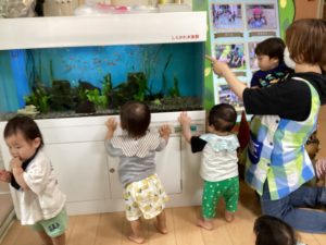 「探検にレッツゴー！」0歳児ありんこグループ