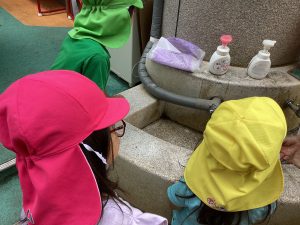 「園庭で新たな発見‼️🦀」4歳児ひまわりぐみ